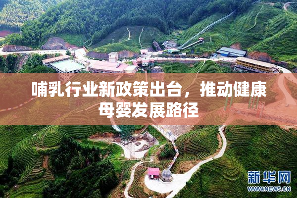 哺乳行业新政策出台，推动健康母婴发展路径