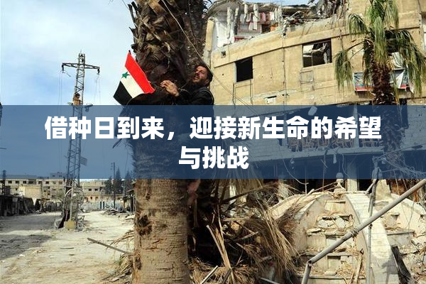 借种日到来，迎接新生命的希望与挑战