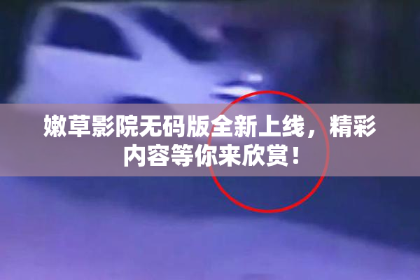 嫩草影院无码版全新上线，精彩内容等你来欣赏！