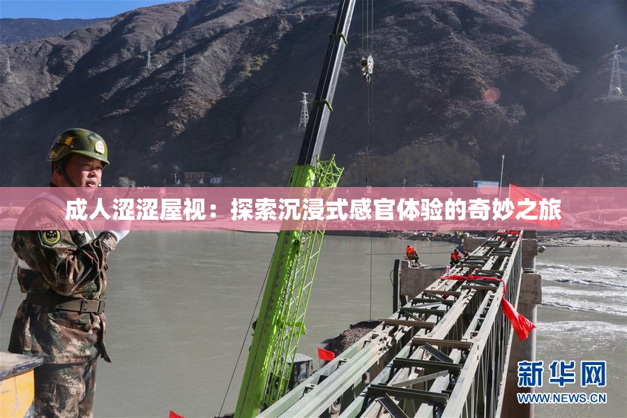 成人涩涩屋视：探索沉浸式感官体验的奇妙之旅