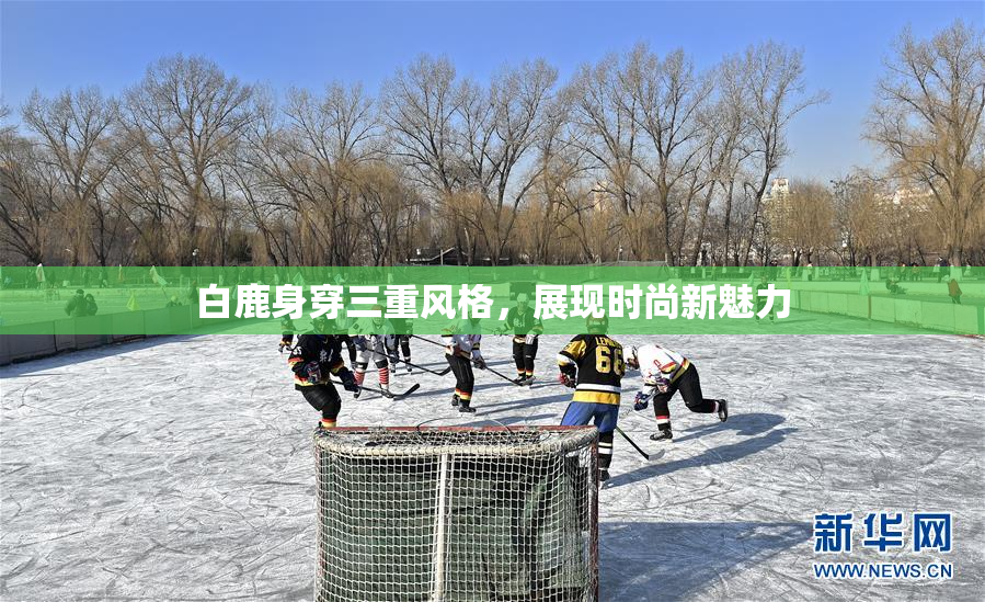 白鹿身穿三重风格，展现时尚新魅力