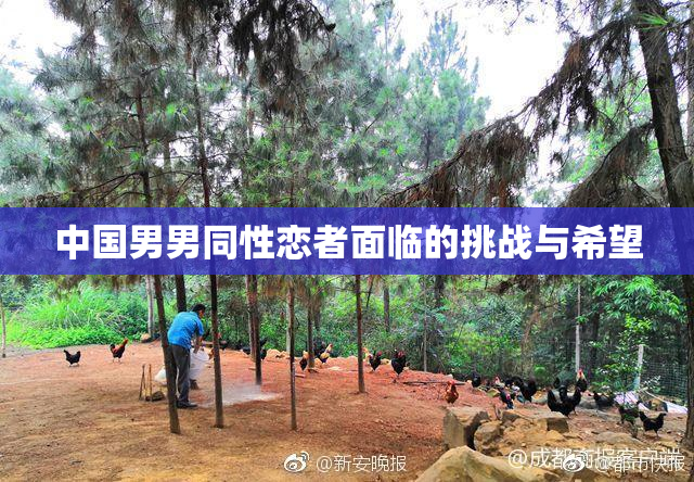 中国男男同性恋者面临的挑战与希望