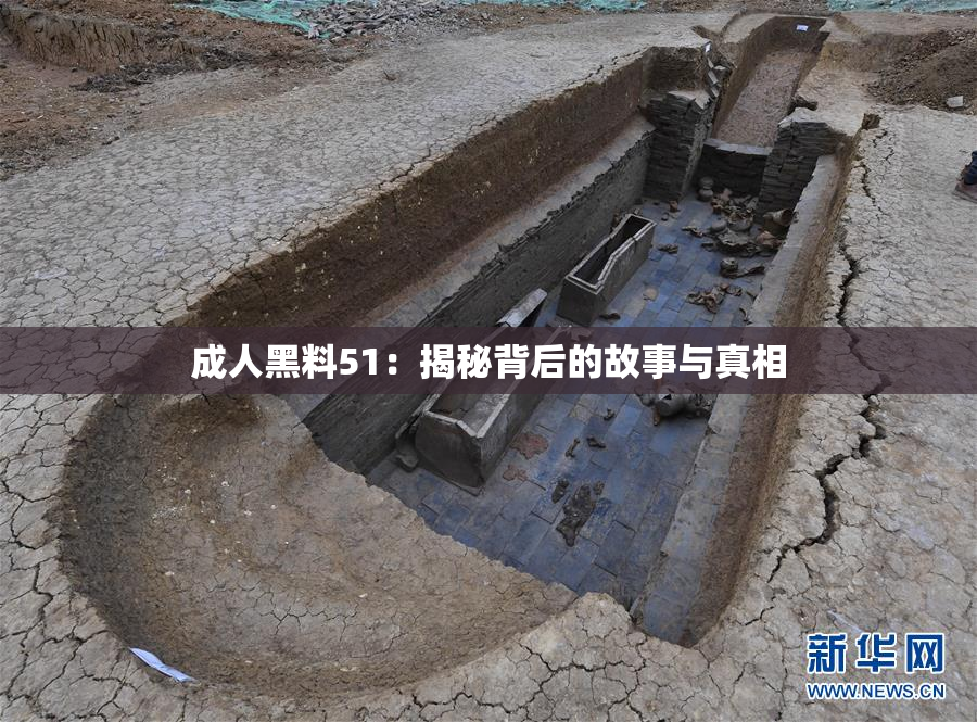 成人黑料51：揭秘背后的故事与真相