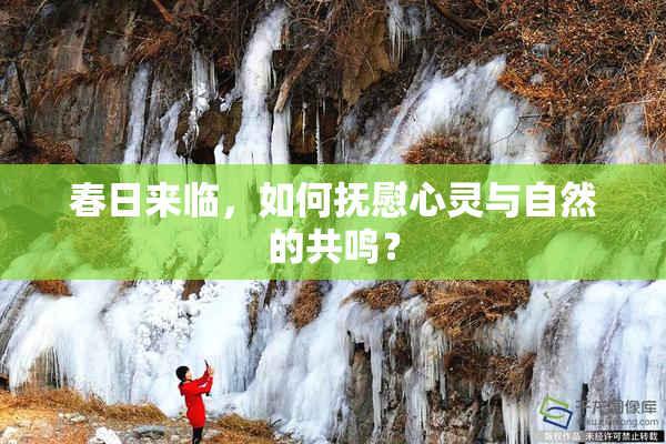 春日来临，如何抚慰心灵与自然的共鸣？