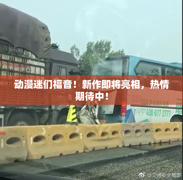 动漫迷们福音！新作即将亮相，热情期待中！