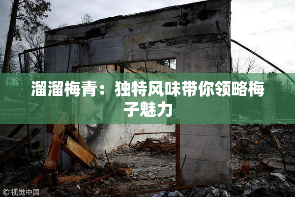 溜溜梅青：独特风味带你领略梅子魅力