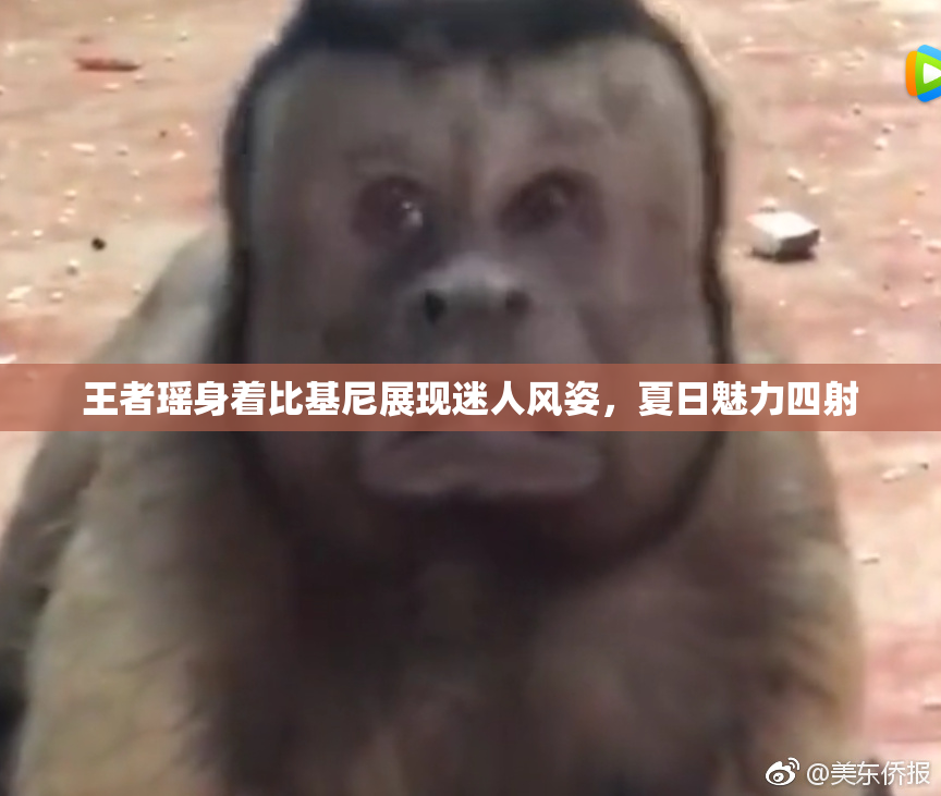 王者瑶身着比基尼展现迷人风姿，夏日魅力四射