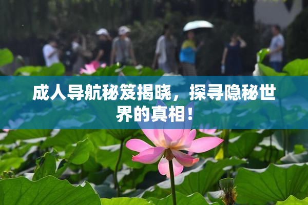 成人导航秘笈揭晓，探寻隐秘世界的真相！