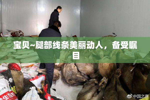 宝贝~腿部线条美丽动人，备受瞩目