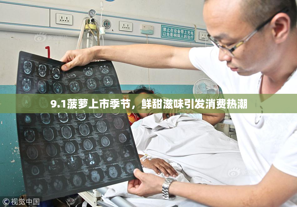 9.1菠萝上市季节，鲜甜滋味引发消费热潮