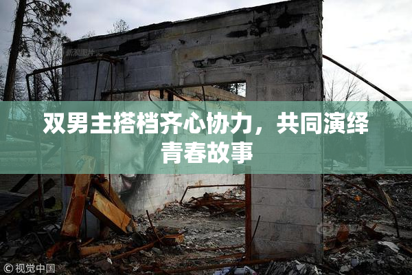 双男主搭档齐心协力，共同演绎青春故事