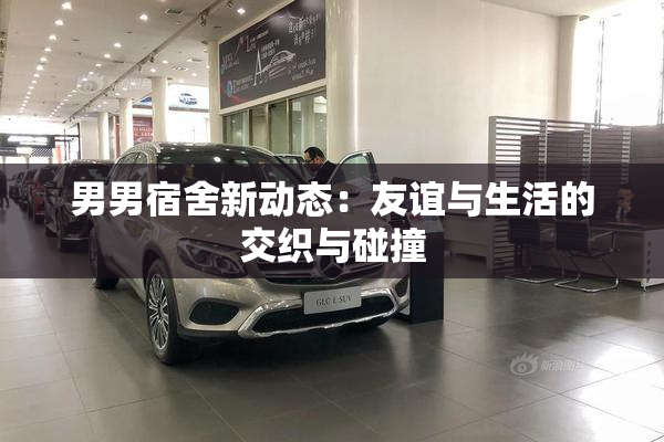 男男宿舍新动态：友谊与生活的交织与碰撞