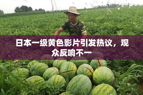 日本一级黄色影片引发热议，观众反响不一