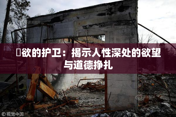 婬欲的护卫：揭示人性深处的欲望与道德挣扎