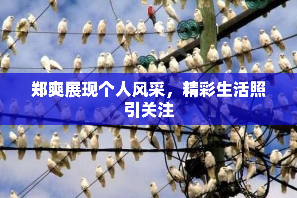 郑爽展现个人风采，精彩生活照引关注