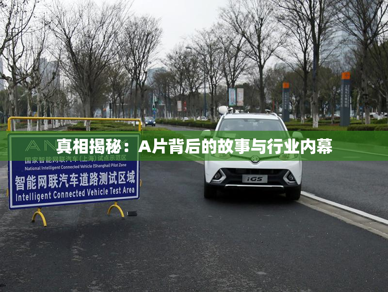 真相揭秘：A片背后的故事与行业内幕