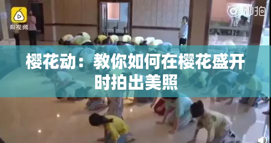 樱花动：教你如何在樱花盛开时拍出美照