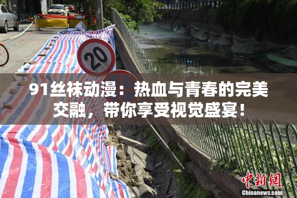 91丝袜动漫：热血与青春的完美交融，带你享受视觉盛宴！