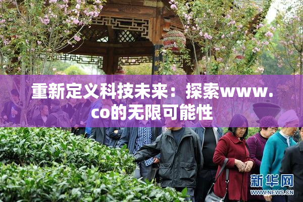 重新定义科技未来：探索www.co的无限可能性