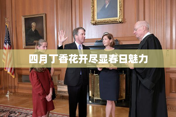 四月丁香花开尽显春日魅力