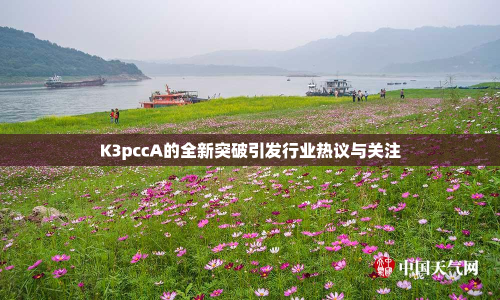 K3pccA的全新突破引发行业热议与关注