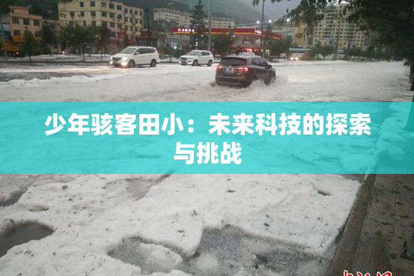 少年骇客田小：未来科技的探索与挑战