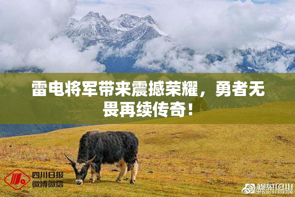 雷电将军带来震撼荣耀，勇者无畏再续传奇！