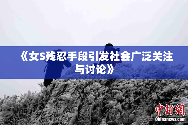 《女S残忍手段引发社会广泛关注与讨论》