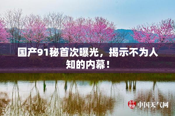 国产91秘首次曝光，揭示不为人知的内幕！