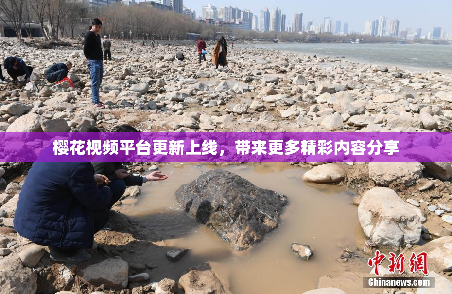 樱花视频平台更新上线，带来更多精彩内容分享