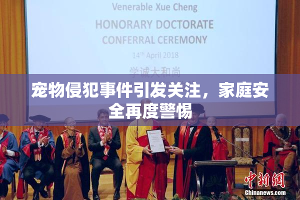 宠物侵犯事件引发关注，家庭安全再度警惕