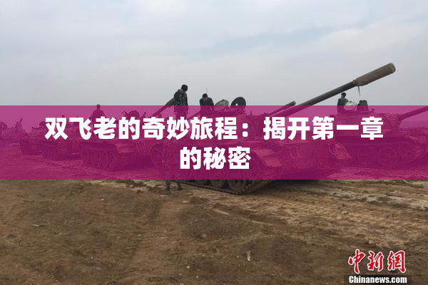双飞老的奇妙旅程：揭开第一章的秘密