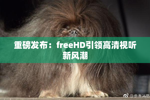 重磅发布：freeHD引领高清视听新风潮
