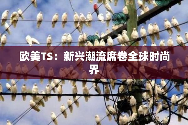 欧美TS：新兴潮流席卷全球时尚界