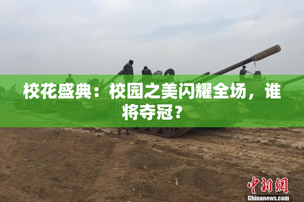校花盛典：校园之美闪耀全场，谁将夺冠？