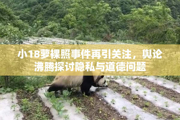 小18萝裸照事件再引关注，舆论沸腾探讨隐私与道德问题