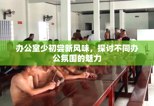 办公室少初尝新风味，探讨不同办公氛围的魅力
