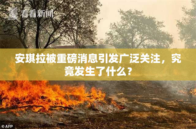 安琪拉被重磅消息引发广泛关注，究竟发生了什么？