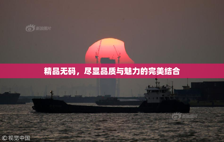 精品无码，尽显品质与魅力的完美结合