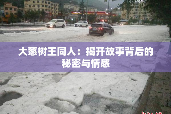 大慈树王同人：揭开故事背后的秘密与情感