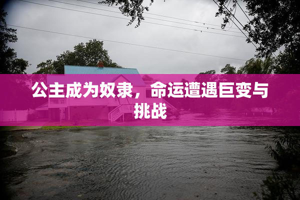 公主成为奴隶，命运遭遇巨变与挑战