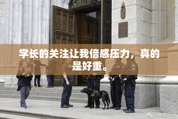学长的关注让我倍感压力，真的是好重。