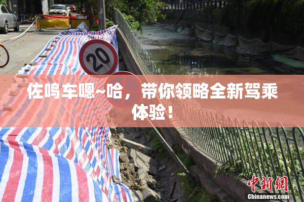 佐鸣车嗯~哈，带你领略全新驾乘体验！