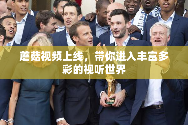 蘑菇视频上线，带你进入丰富多彩的视听世界