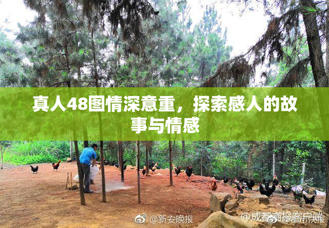 真人48图情深意重，探索感人的故事与情感