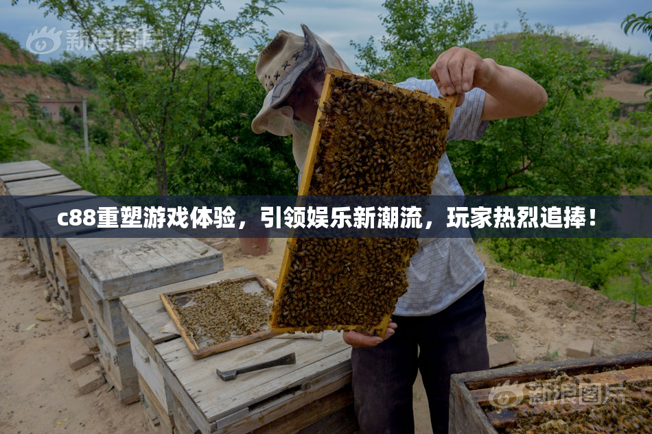 c88重塑游戏体验，引领娱乐新潮流，玩家热烈追捧！