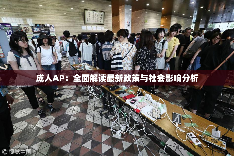 成人AP：全面解读最新政策与社会影响分析