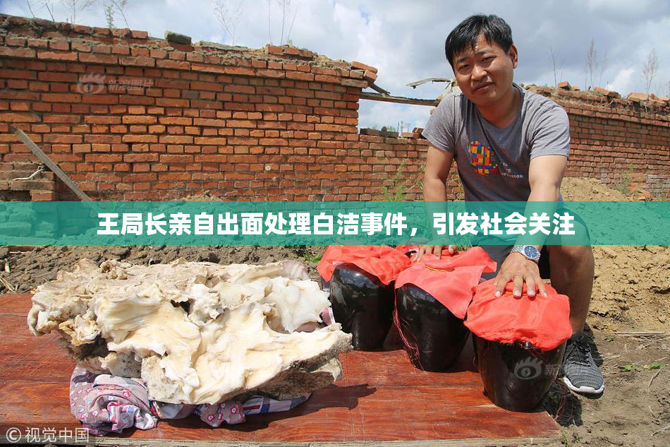 王局长亲自出面处理白洁事件，引发社会关注