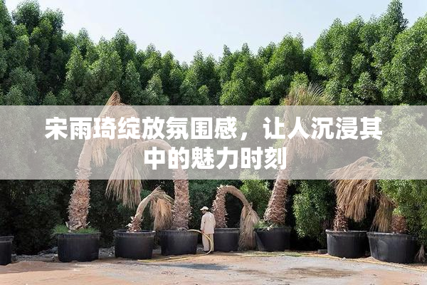 宋雨琦绽放氛围感，让人沉浸其中的魅力时刻