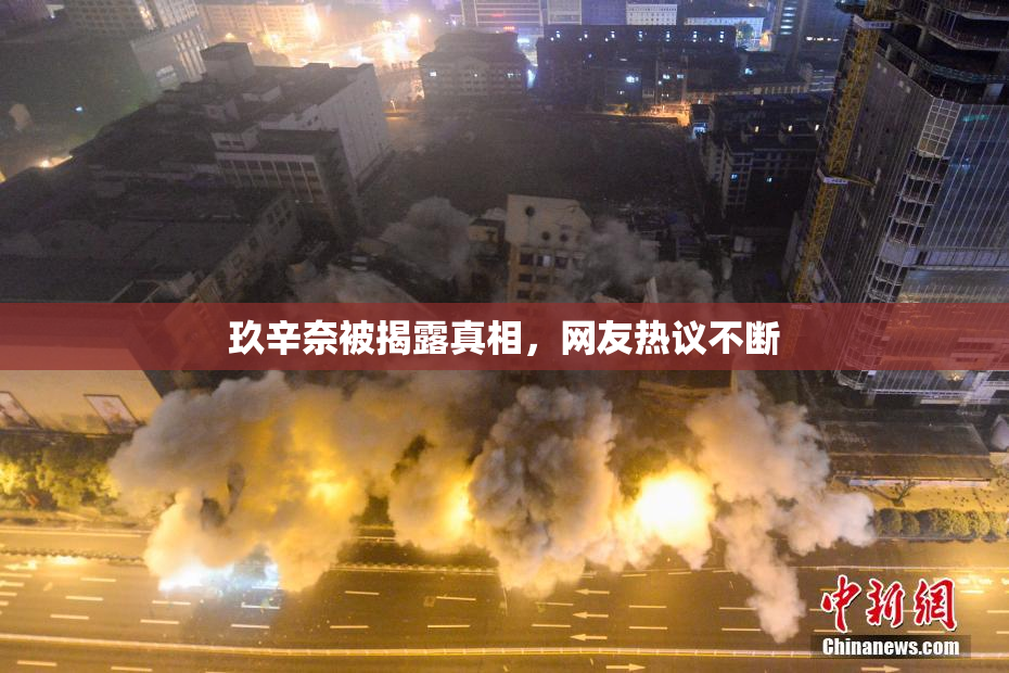 玖辛奈被揭露真相，网友热议不断